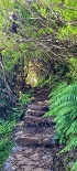 Plants: image 3 Of 208 Thumb